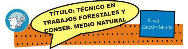 trabajos forestales